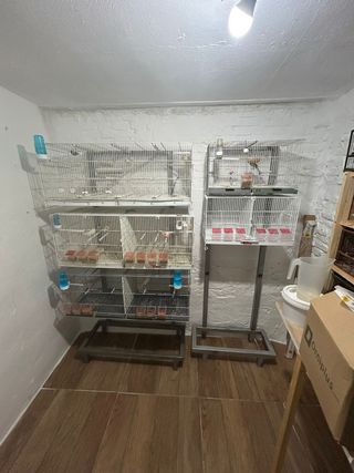 Carro de cría para pájaros