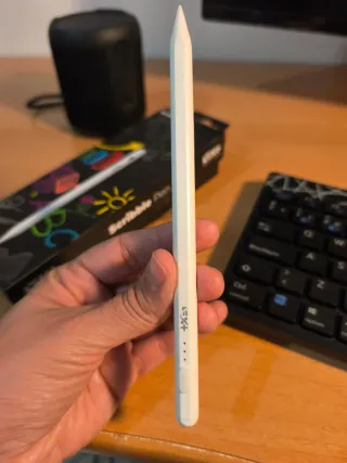 Lápiz Scribble para iPad