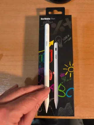 Lápiz Scribble para iPad