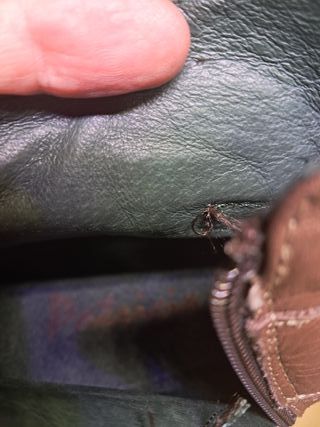 Botines cuña piel Patricia Miller T.40