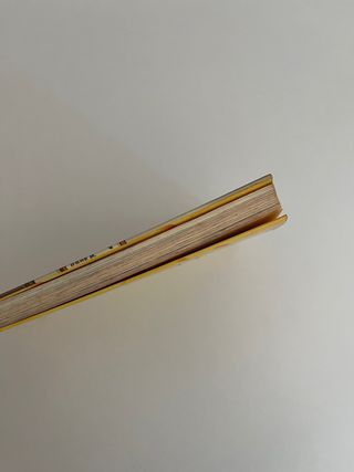 El misterioso ladron de quesos