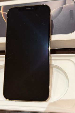 Apple iPhone 12 Multicolor