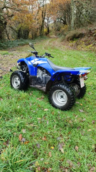 Yamaha Wolverine 450 4x4 ATV Deportivo