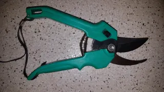 Tijeras de podar verdes