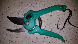 Tijeras de podar verdes