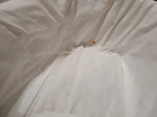 Cuna moisés para bebé