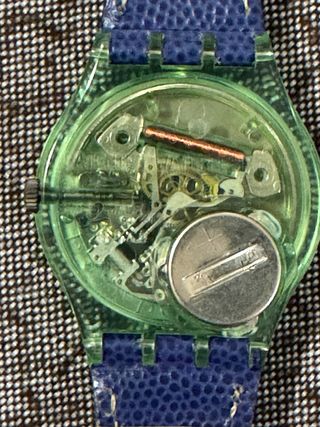 Swatch Gent Frische Fische GG116