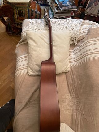 Guitarra Carlo Robelli CW4110