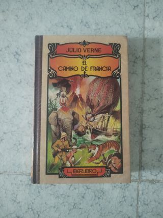 EL CAMINO DE FRANCIA