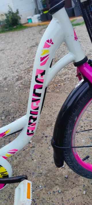 Bicicleta niña 20 pulgadas