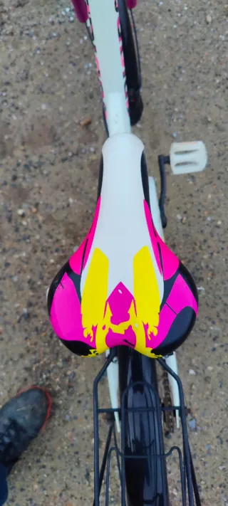 Bicicleta niña 20 pulgadas