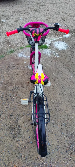 Bicicleta niña 20 pulgadas