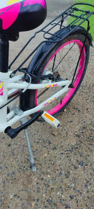 Bicicleta niña 20 pulgadas