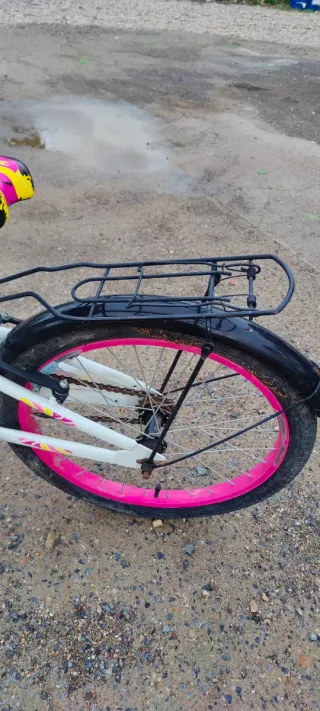 Bicicleta niña 20 pulgadas