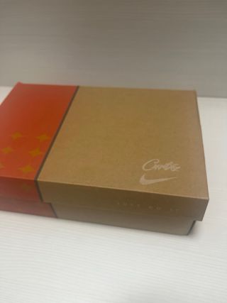 Nike Air Max 95 x Corteiz