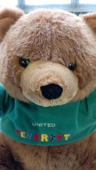 Orso Bruno Tenerotti Peluche