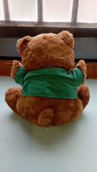 Orso Bruno Tenerotti Peluche