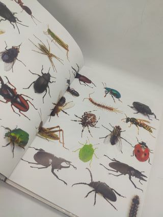 Puzzle 3D Insectos con Libro Eureka!