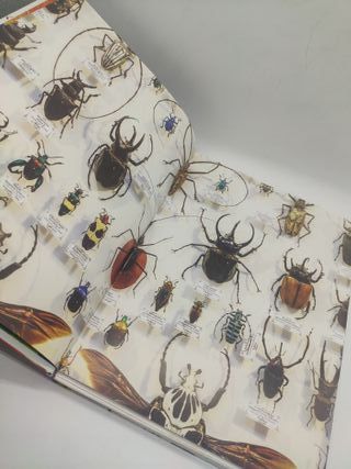 Puzzle 3D Insectos con Libro Eureka!