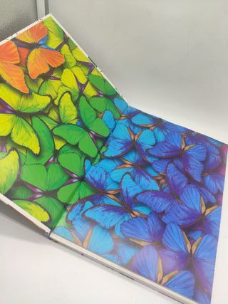 Puzzle 3D Insectos con Libro Eureka!