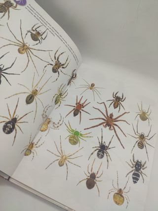 Puzzle 3D Insectos con Libro Eureka!