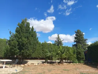 Casa rustica en parcela 17000 metros