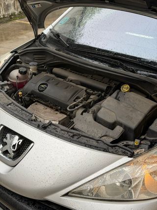 Peugeot 207 Peugeot 207 Sport 1.6 VTi 16v 120