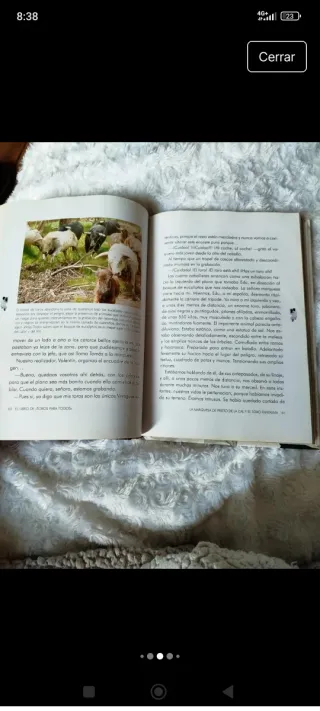 El libro de Toros para todos (Taurología) (Span...