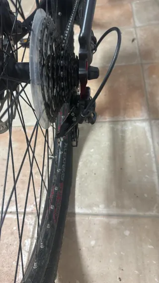 Bicicleta Eléctrica Trek Powerfly+ 7