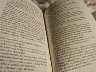 Mauricio o Las elecciones primarias