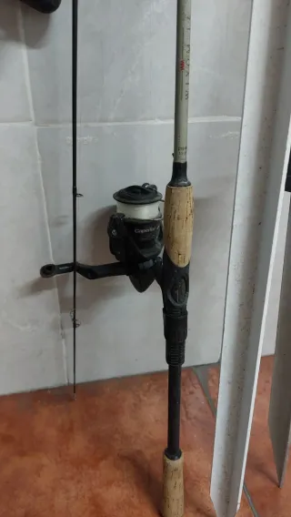 Cañas de pescar y soportes