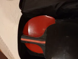 Set tabla de tenis (pin pong)