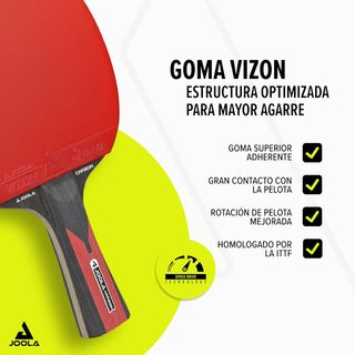 Raqueta Ping Pong JOOLA Carbon Profesional