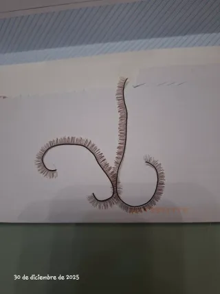 Muñeco Antonio Juan