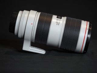 Canon EF 70-200mm f/2.8L IS III USM