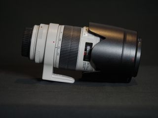 Canon EF 70-200mm f/2.8L IS III USM