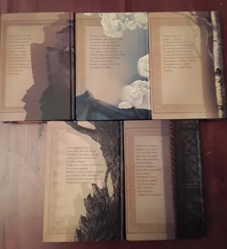 Colección de 5 libros, El Reino de la Fantasía