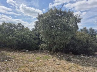 Terreno en venta en Los Cotos de Monterrey en Venturada