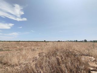 Terreno en venta en Membrilla