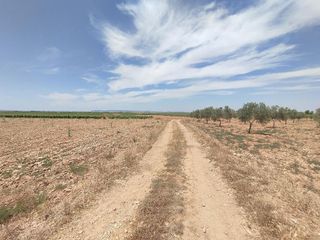 Terreno en venta en Membrilla