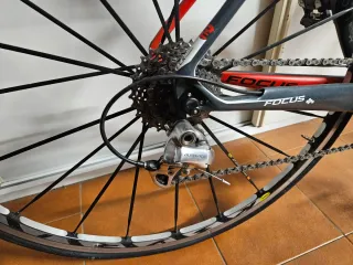 Bicicleta de carretera Focus