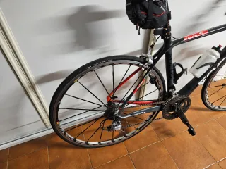 Bicicleta de carretera Focus