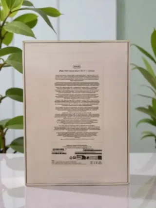 GARANZIA iPad 10ª Generazione 64GB WIFI + CELLULAR