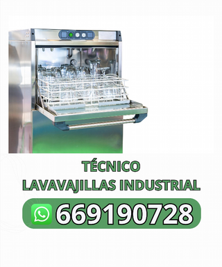 Técnico lavavajillas industrial