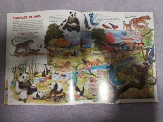 Libro Busca los animales