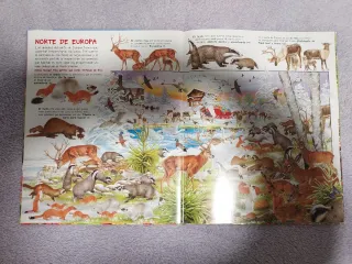 Libro Busca los animales