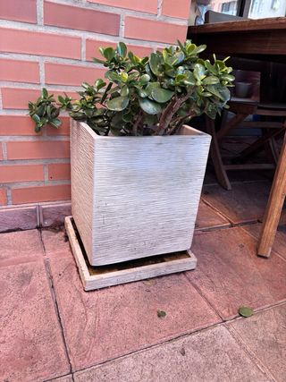 Juego de maceteros de piedra