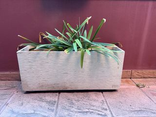 Juego de maceteros de piedra