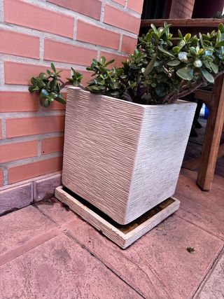 Juego de maceteros de piedra