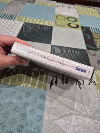 WONDER BOY Sega Master System